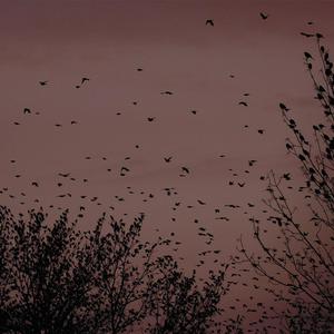 寡妇肥奶大屁股好紧
