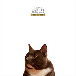 寡妇肥奶大屁股好紧
